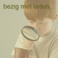 732020-tulipa-kaufmanniana-hybriden-concerto